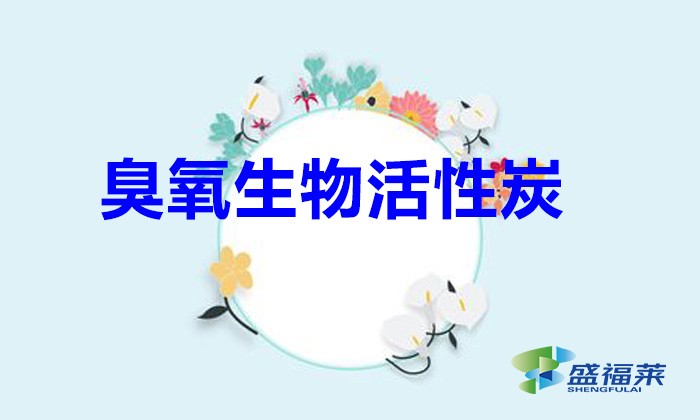 臭氧生物活性炭(什么是臭氧生物活性炭)