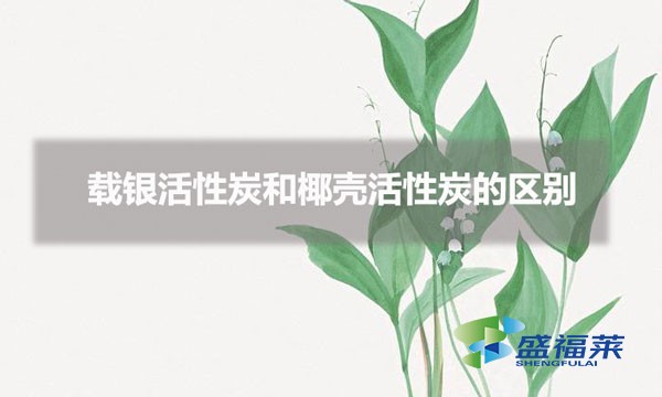 載銀活性炭和椰殼活性炭的區(qū)別（載銀活性炭與椰殼活性炭的特點）