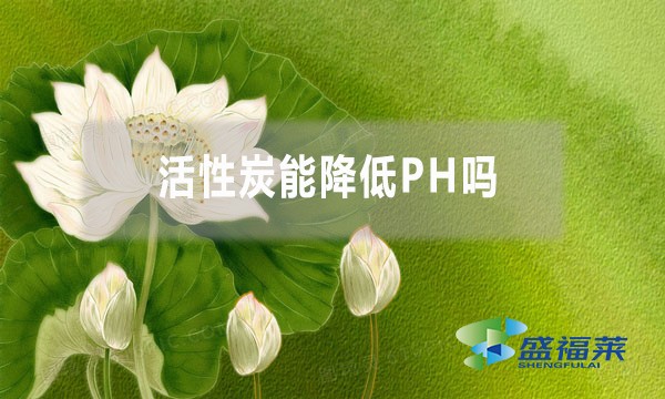 活性炭能降低PH嗎？為什么？