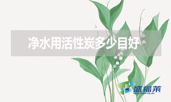 凈水用活性炭多少目好？有哪些優(yōu)缺點(diǎn)？