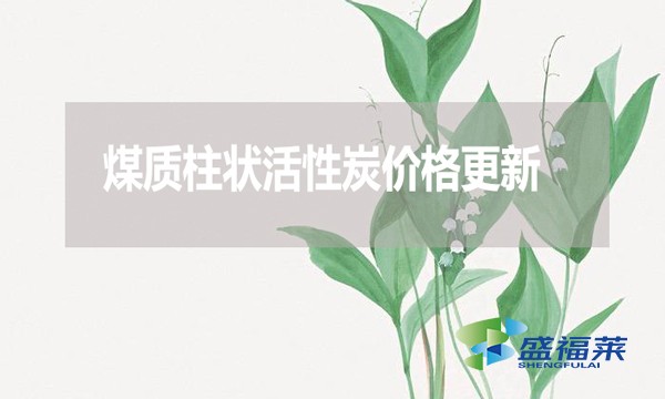 2024年7月23日煤質(zhì)柱狀活性炭?jī)r(jià)格更新