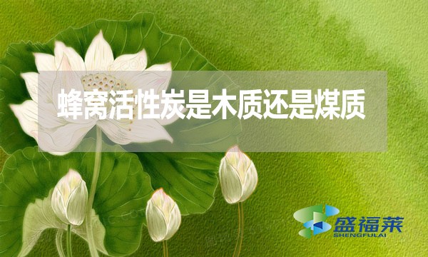 蜂窩活性炭是木質(zhì)還是煤質(zhì)？哪種好？